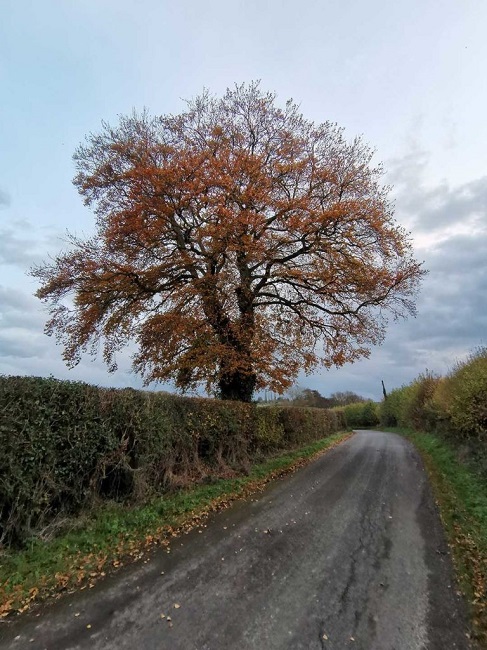 رسانه&zwnj;های معتبر دنیا درباره گوشی Huawei Nova 5T چه می&zwnj;گویند؟