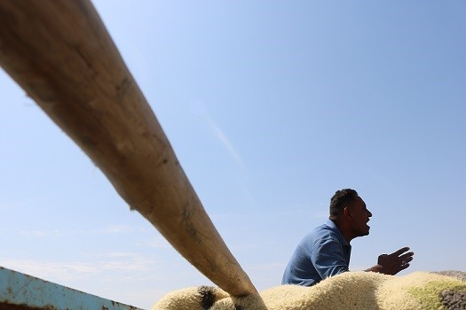 فاتحانِ خشمگین آب&zwnj;های گِل&zwnj;آلود