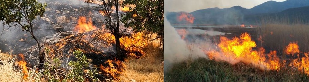 خطری که تهدیدمان می کند: آتش سوزی های تابستانی بعد از سیلاب های بهاری