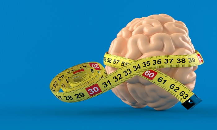 رابطه چاقی و کوچک شدن مغز