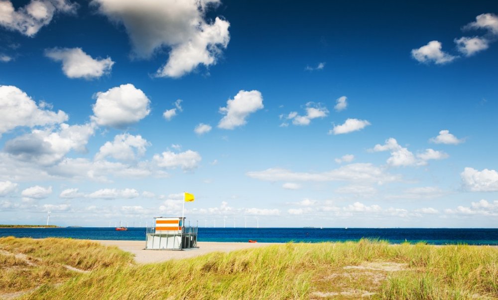 گرمای هلند 400 نفر را کشت