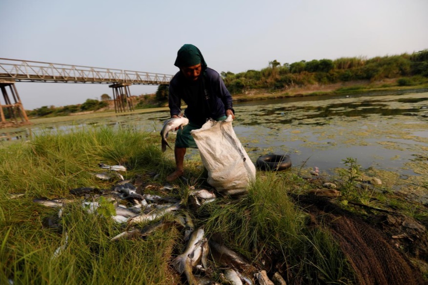 پول در برابر زباله/ روستای اندونزی برای امرار معاش زباله نیاز دارد