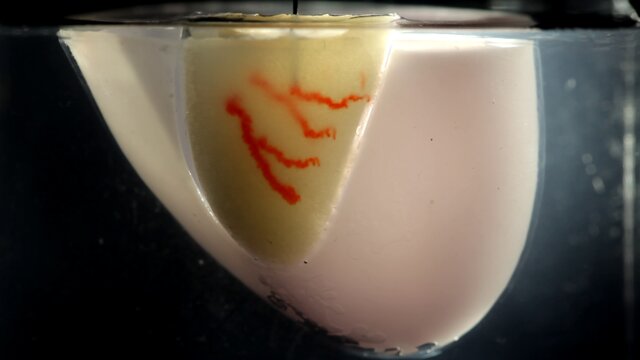 روش جدید دانشمندان دانشگاه هاروارد برای چاپ 3 بعدی اندام&zwnj;ها