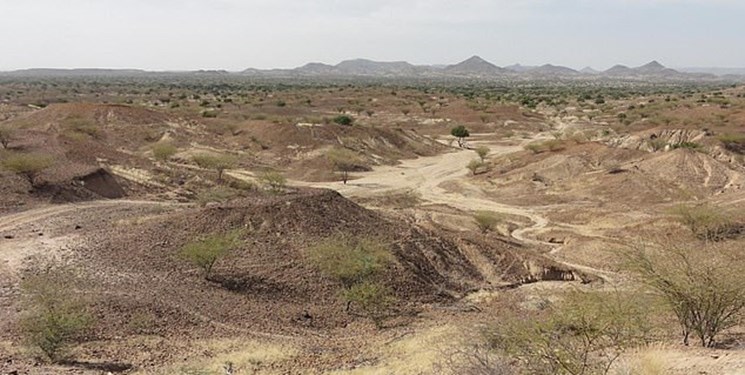 کشف فسیل 100 میلیون ساله گروهی از دایناسورها (+عکس)