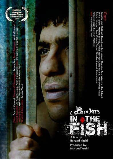 دومین حضور فیلم &laquo;درون ماهی&raquo; پس از شانگهای در دوبلین ایرلند