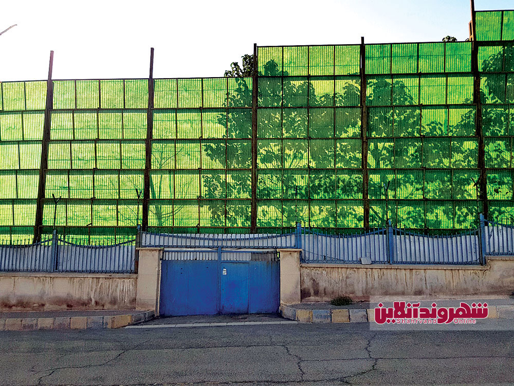 راز باغ&zwnj;وحش شگفت&zwnj;انگیز جاده کرج/ 17 ببر در باغ شخصی