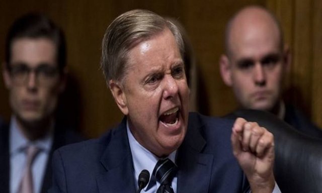 واکنش سناتور آمریکایی به خروج آمریکا از شمال سوریه: فاجعه&zwnj;ای در شرف وقوع است