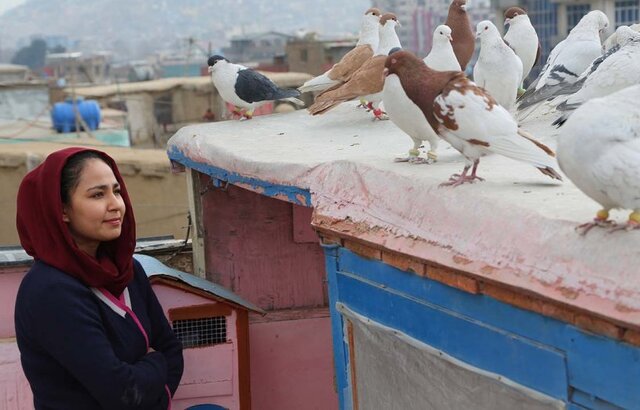 فیلم تهیه&zwnj;کننده ایرانی نماینده افغانستان در اسکار