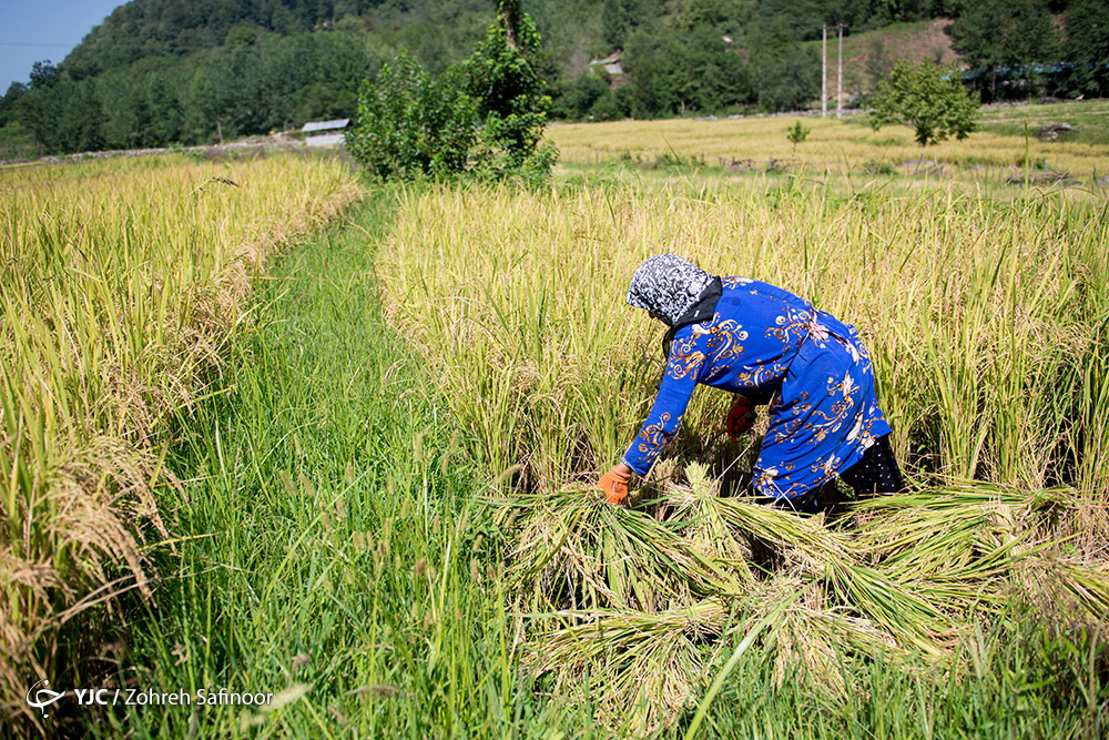 کوهرنگ (چهارمحال&zwnj;وبختیاری) 18 درجه زیر صفر