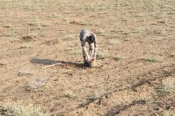 الحشد الشعبی: 100 بمب را در کرکوک عراق خنثی کردیم