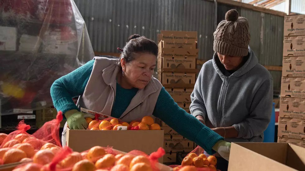 کشاورزان آمریکا کرونا