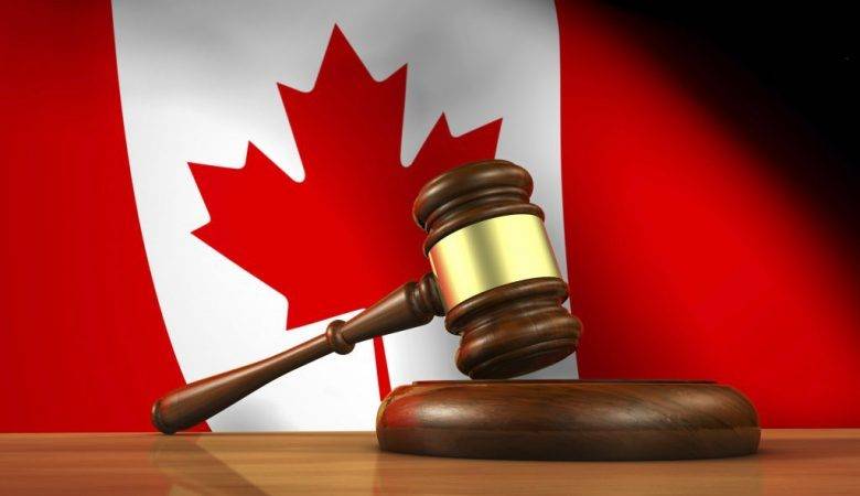 بهترین رشته&zwnj;های تحصیلی در کانادا/ آشنایی با رشته&zwnj;های پرطرفدار در این کشور