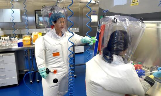 موافقت چین با ورود بازرسان سازمان بهداشت جهانی برای تحقیق درباره منشا ویروس کرونا