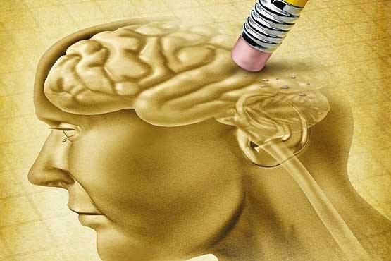 توصیه های مدیر انجمن آلزایمز درباره مواجهه با این بیماری؛ زمان را از دست ندهید