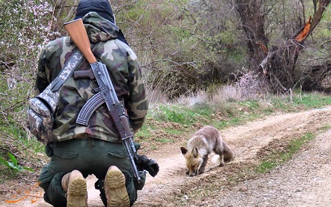 خبر خوب: امروز هیچ محیط&zwnj;بانی گلوله نخورد!