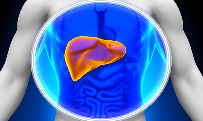 کبد چرب و 15 نشانه آن