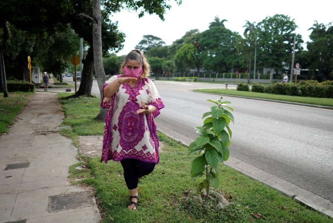 کوبا کشاورزی کرونا