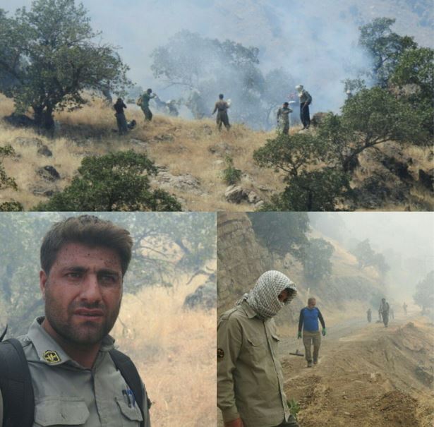 غلبه محیطبانان کرمانشاهی بر مین و آتش در روز محیطبان محیط زیست کرمانشاه