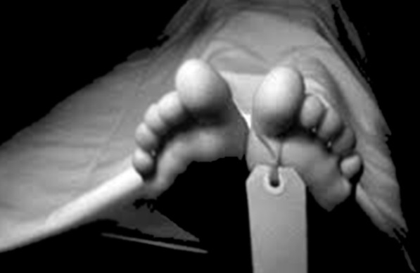 قتل هولناک تاجر ثروتمند در باغ گیلاس