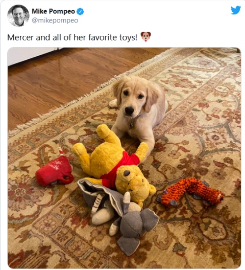 توییت شیطنت&zwnj;آمیز پمپئو: همه اسباب بازی&zwnj;های 