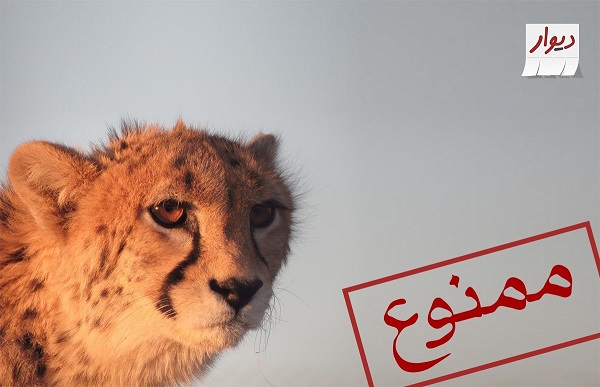 ممنوعیت فروش گونه&zwnj;های حیات وحش روی دیوار