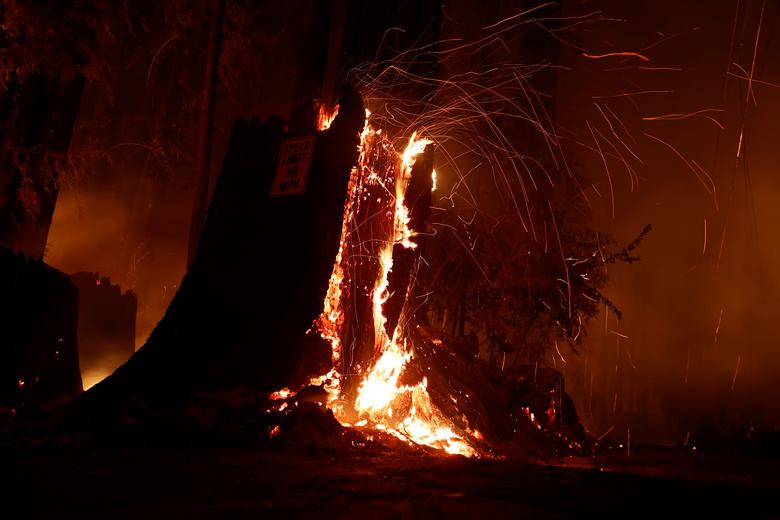 آتش&zwnj;سوزی کالیفرنی