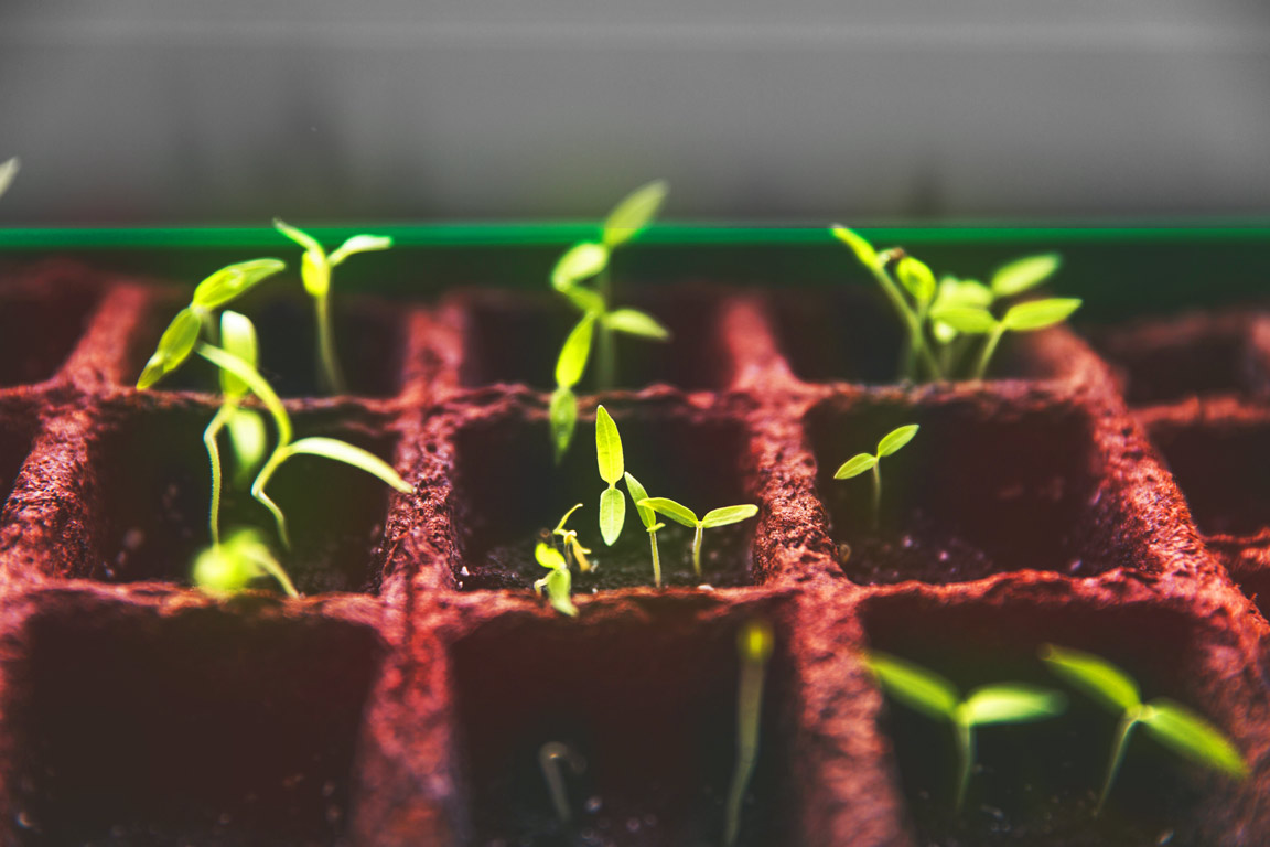 چگونه میتوان ریسک سرمایهگذاری را در دوران ریزش شاخص کاهش داد؟ چگونه میتوان ریسک سرمایهگذاری را در دوران ریزش شاخص کاهش داد؟