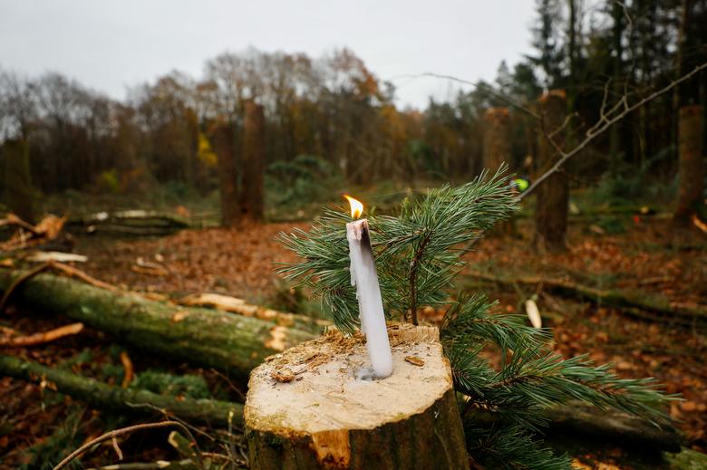 معترضان به ساخت بزرگراه در میان جنگل&zwnj;های آلمان (+عکس)