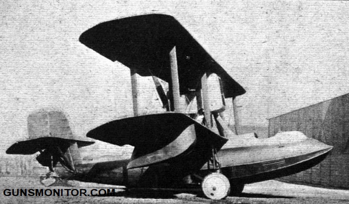 نگاهی به تاریخچه پرنده های آب نشین نظامی/بخش دوم(+عکس)