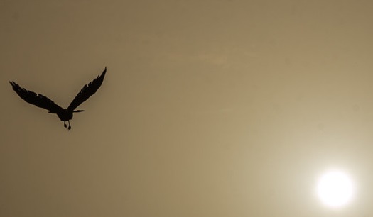 هشدار هواشناسی نسبت به آلودگی هوای تهران و ۵ شهر دیگر