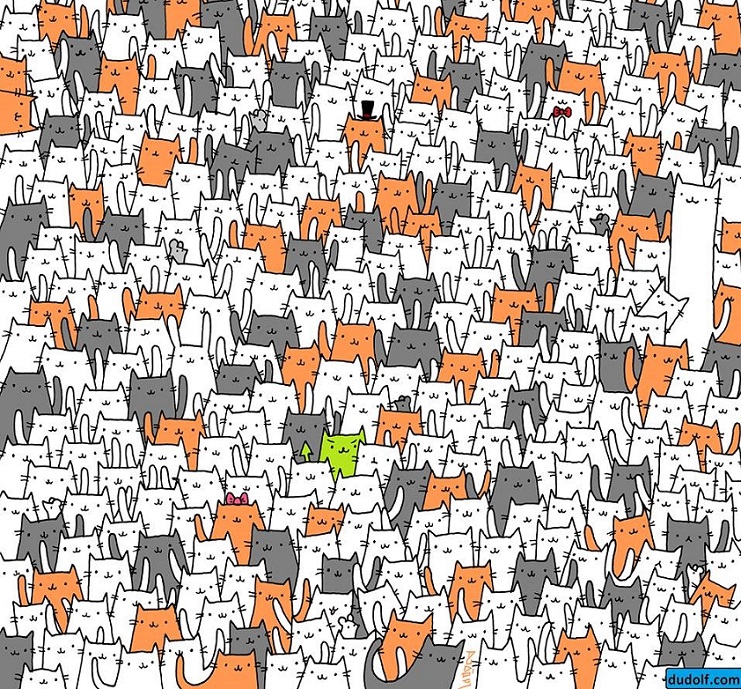 خرگوش پنهان شده در میان گربه را بیابید (تصویر)