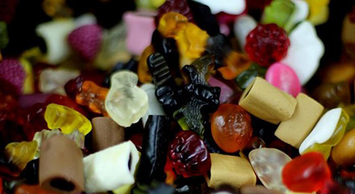 جهان بدون زنبور چگونه است؟