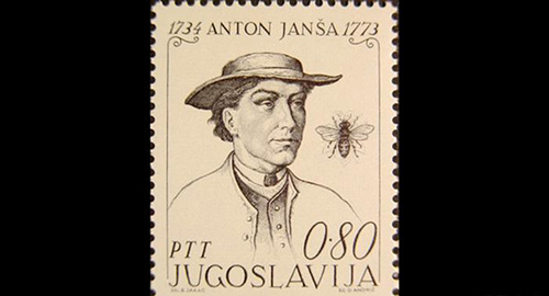 جهان بدون زنبور چگونه است؟