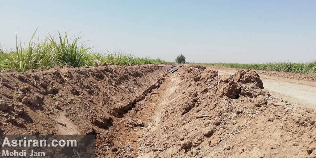 بحران بی آبی در مزارع هفت تپه/ خروج 500 هکتار از چرخه تولید (+عکس و فیلم)