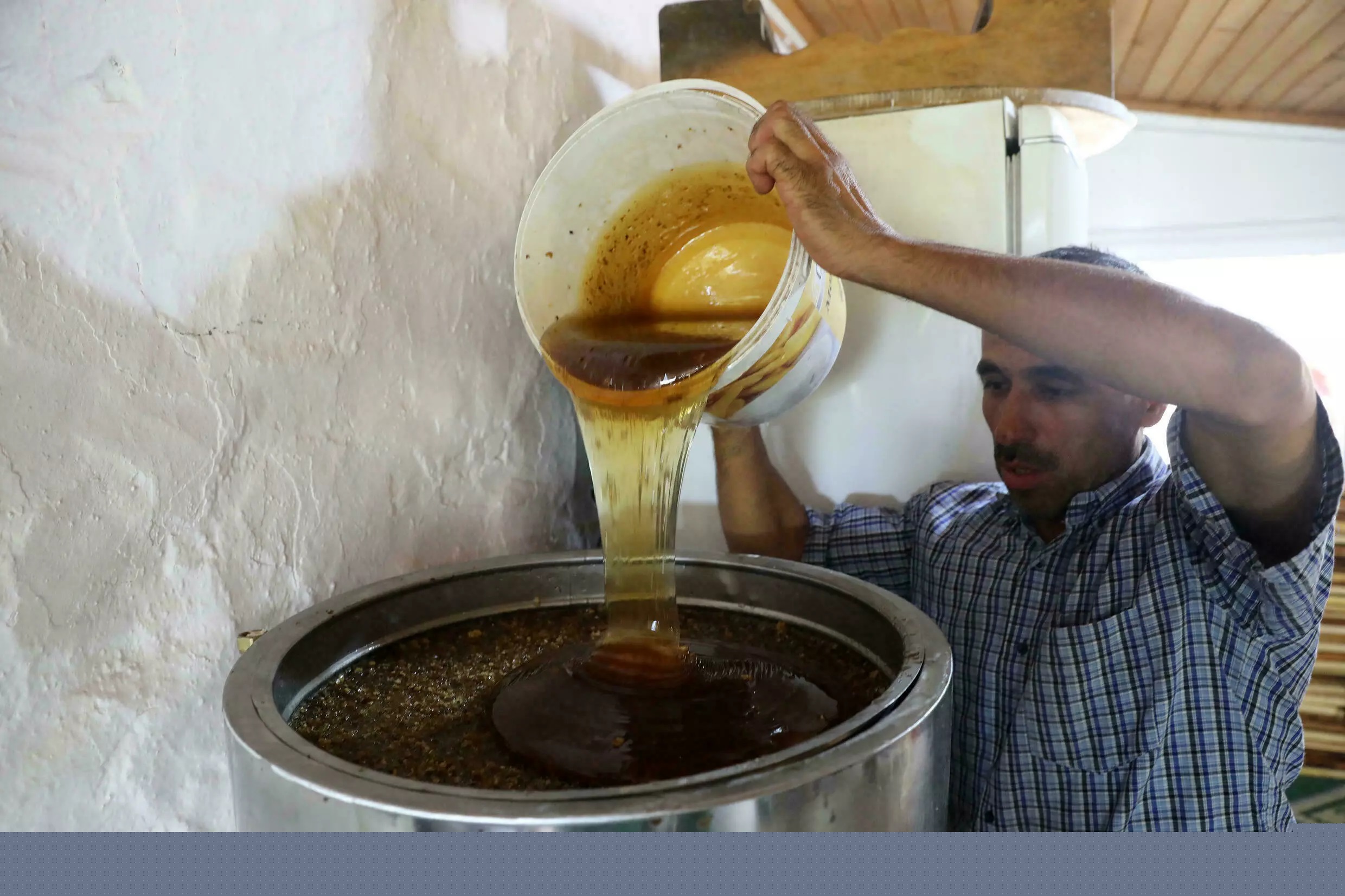 ضرر آتش سوزی تکیه به ارزشمندترین عسل کاج جهان عسل کاج ترکیه