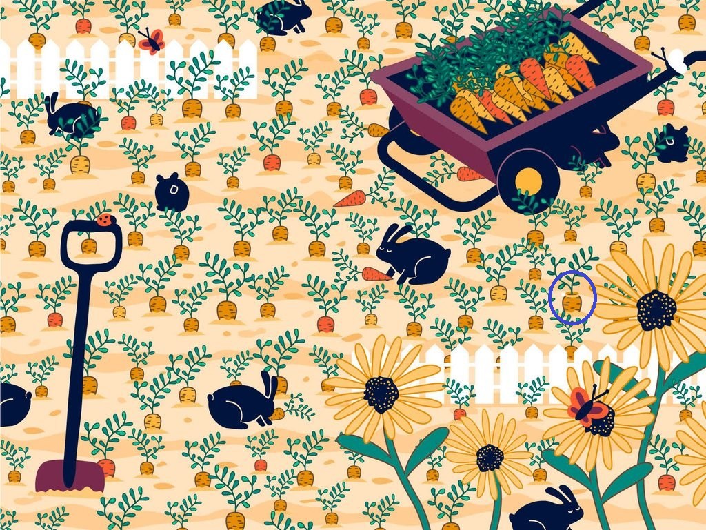 حلقه ازدواج را پیدا کن (تست سرعت چشم)