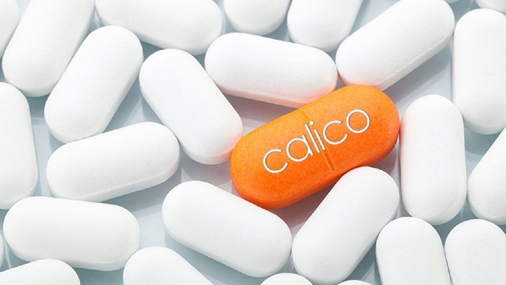 کالیکو گوگل