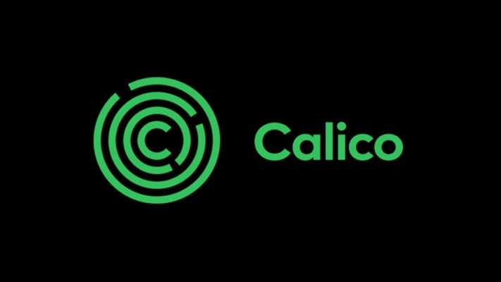 کالیکو گوگل