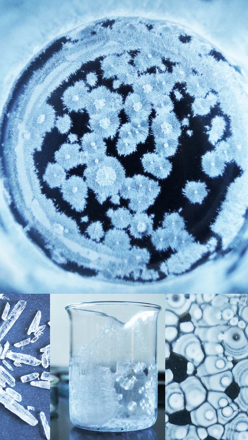 آلکیمی؛ زیبایی جواهرات وقتی پای طلا و برلیان وسط نیست! (+عکس)