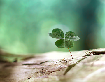 امید و ناامیدی مردم از کجا می&zwnj;آید؛ حرف مخالفان یا عمل مدعیان؟