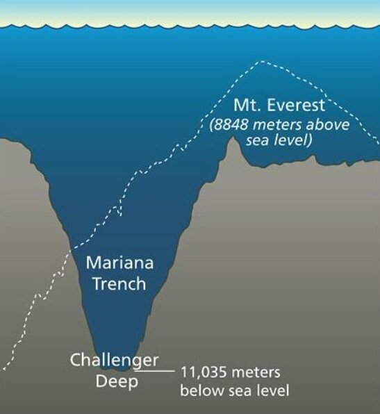 سفری به دل ژَرف&zwnj;ترین گودال زمین/ در اعماق اقیانوس&zwnj;ها چه خبر است؟