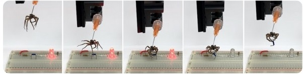 پژوهشگران با تزریق هوا به عنکبوت مرده، ربات زامبی چنگکدار ساختند پژوهشگران با تزریق هوا به عنکبوت مرده، ربات زامبی چنگکدار ساختند