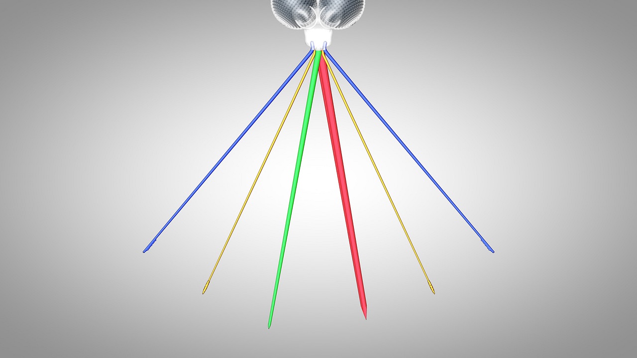 مکانیسم پیچیده نیش پشه برای مکیدن خون انسان؛ استفاده از شش سوزن!