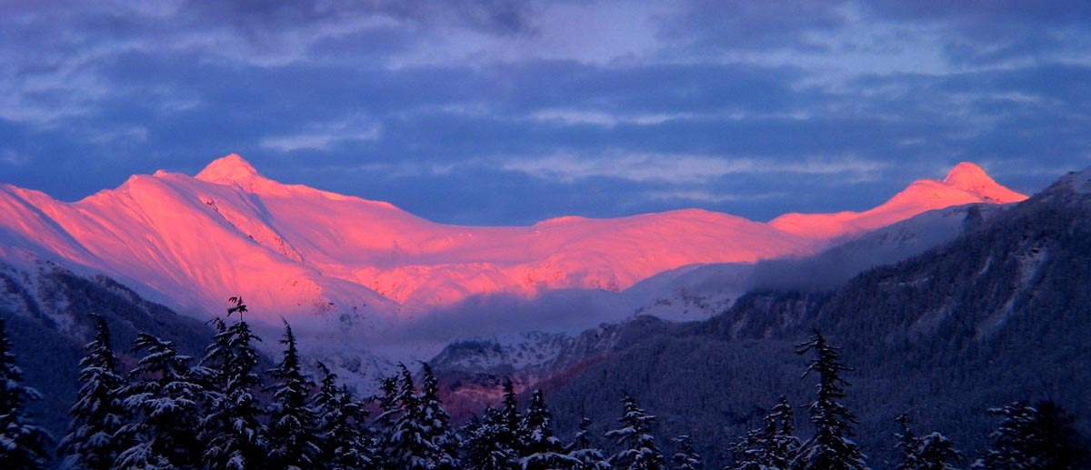 آلپاین آلپن گلو؛ عجیب ترین خودروی فرانسه در نمایشگاه پاریس! (+عکس) آلپاین آلپن گلو؛ عجیب ترین خودروی فرانسه در نمایشگاه پاریس! (+عکس)