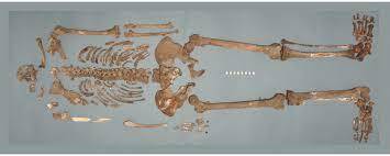 تیکو براهه؛ پلی میان کوپرنیک و کپلر