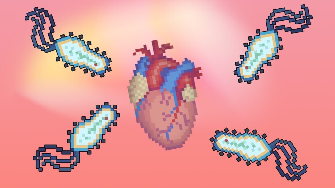 هر آنچه باید در مورد اندوکاردیت بدانیم