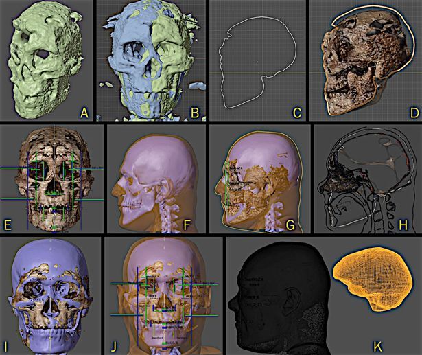 بازگشت به زندگی پس از 35 هزار سال