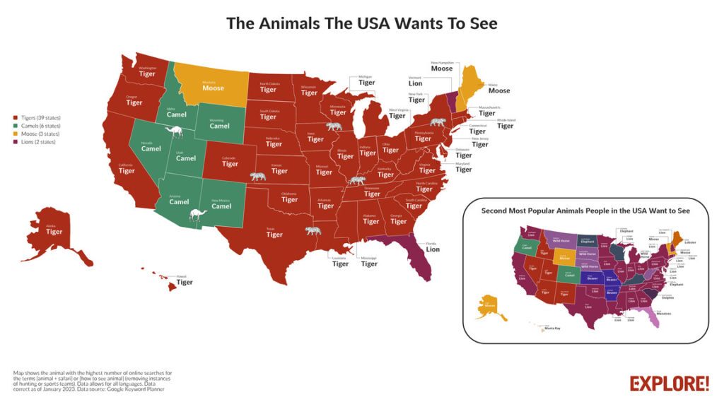 محبوب ترین حیوانات در نقاط مختلف جهان کدامند؟ (اینفوگرافیک) محبوب ترین حیوانات در نقاط مختلف جهان کدامند؟ (اینفوگرافیک)