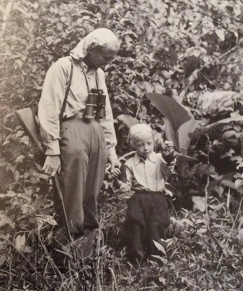 سقوط از آسمان به جنگل بارانی؛ داستان باور نکردنی زنده ماندن جولیان کوپکه