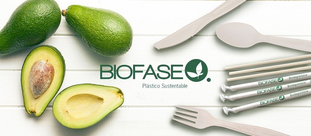 هسته آووکادو